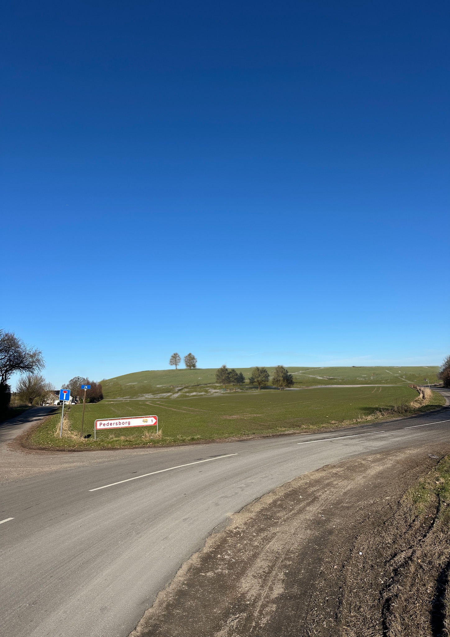 landscape render of the Sorø Støjvold noise barrier planting through the seasons
